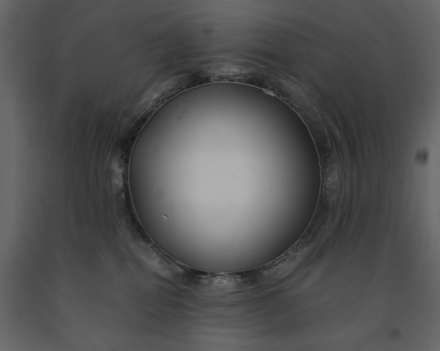 X0000091240282200708231724