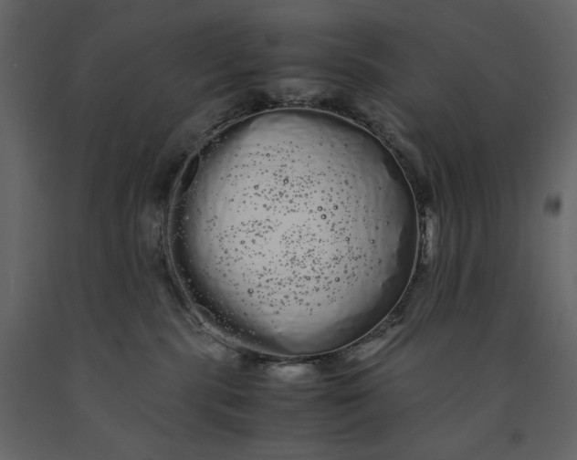 X0000091240283200708231724