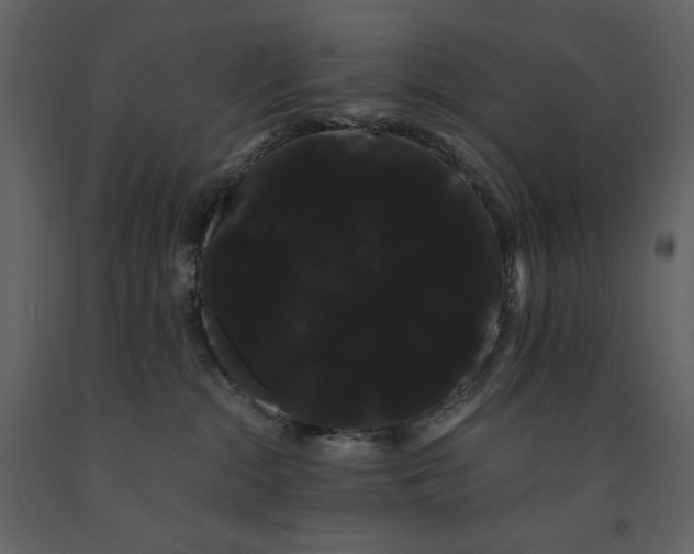 X0000091240284200708231724