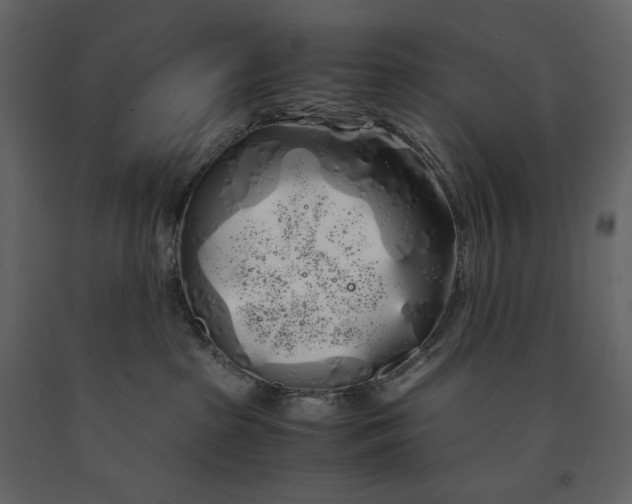 X0000091240285200708231724