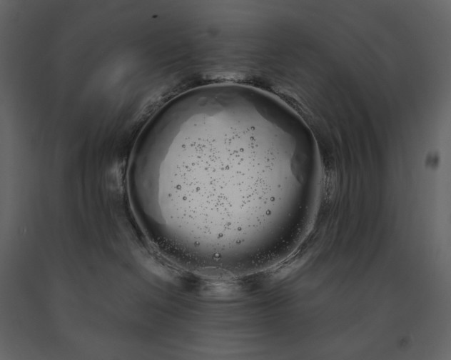 X0000091240286200708231724