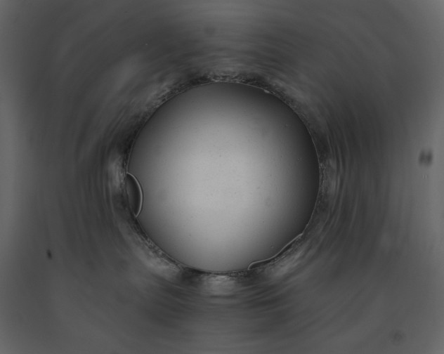 X0000091240287200708231724