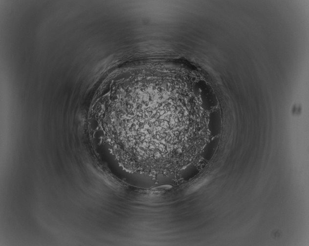 X0000091240288200708231724