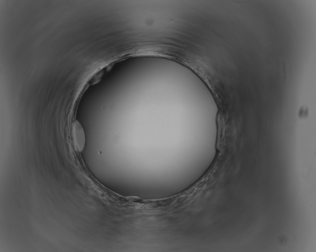 X0000091240289200708231723