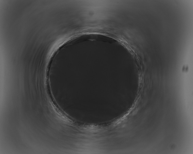X0000091240293200708231723