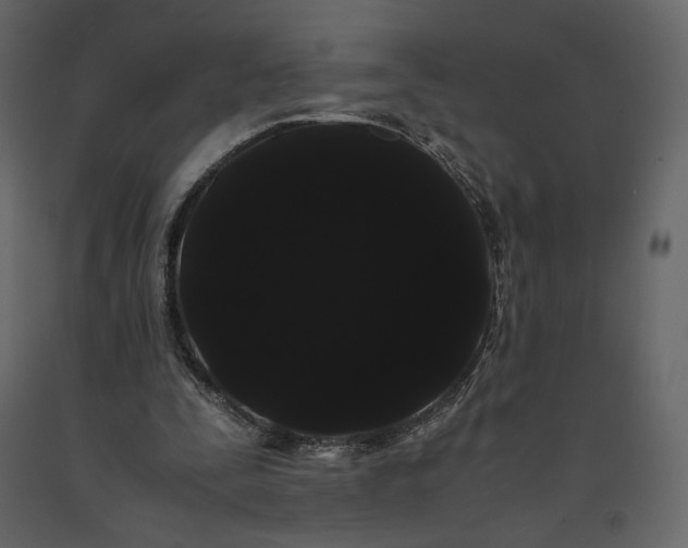 X0000091240295200708231723