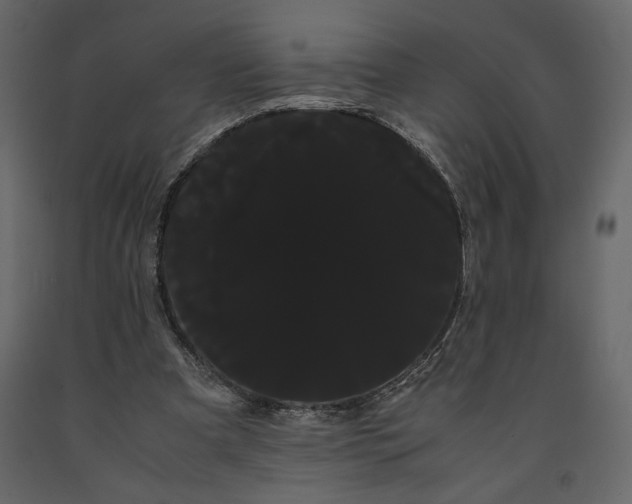 X0000091240297200708231723