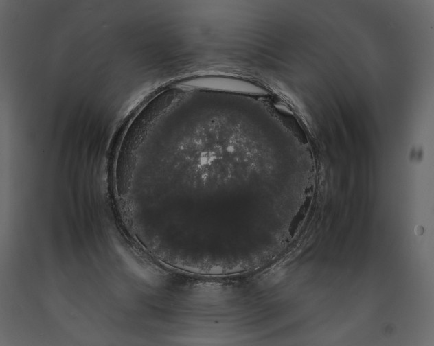 X0000091240298200708231723