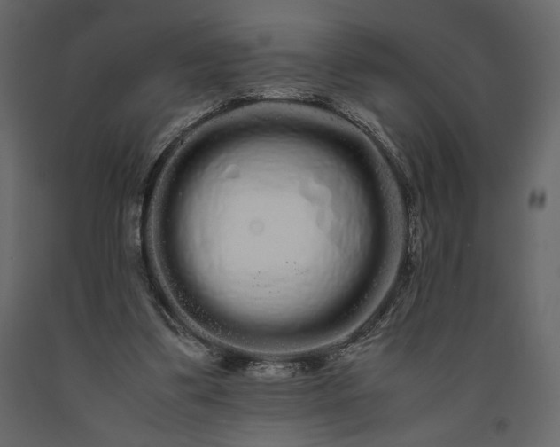 X0000091240299200708231723