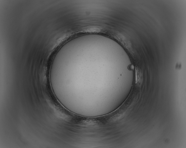 X0000091240300200708231723