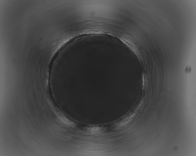 X0000091240301200708231723