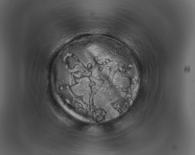X0000091240303200708231723