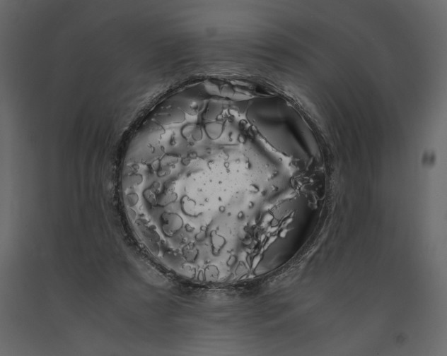 X0000091240305200708231723