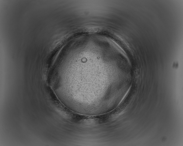 X0000091240307200708231723