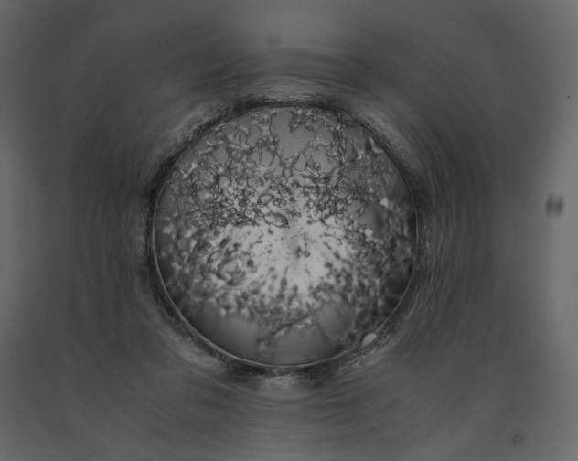 X0000091240309200708231723