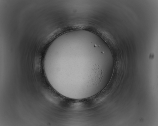 X0000091240312200708231723