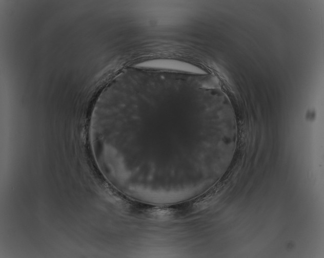 X0000091240313200708231723