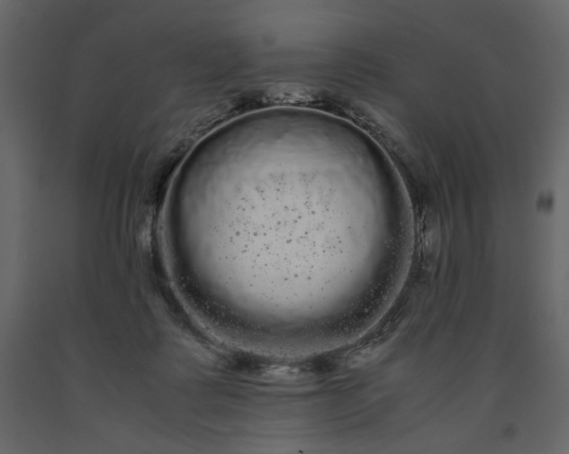 X0000091240315200708231723