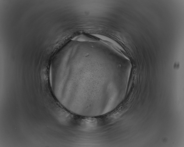 X0000091240317200708231723