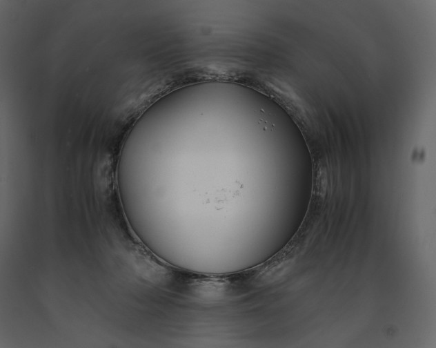 X0000091240318200708231723