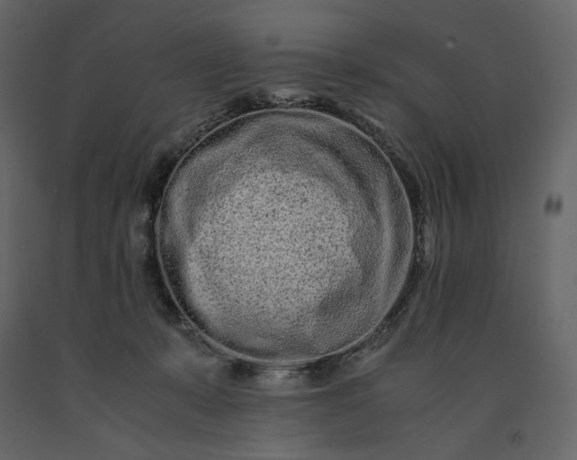 X0000091240319200708231723