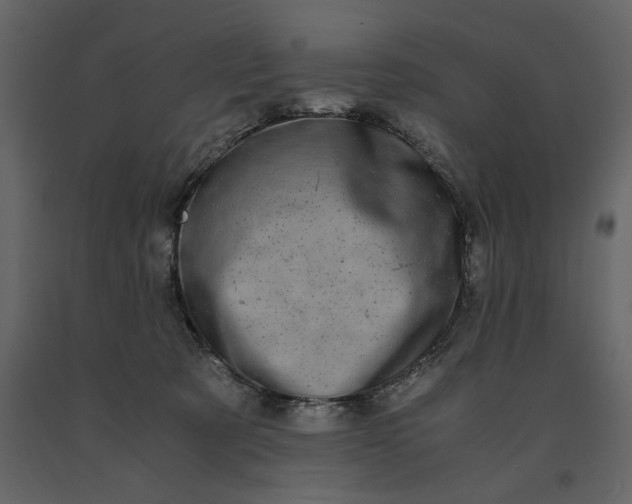 X0000091240321200708231723