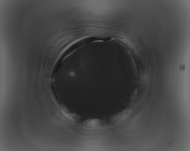 X0000091240325200708231723