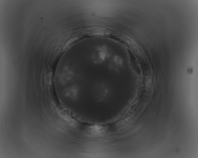 X0000091240326200708231723