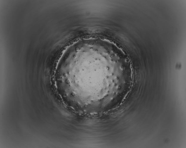 X0000091240327200708231723