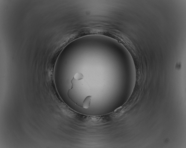X0000091240329200708231723