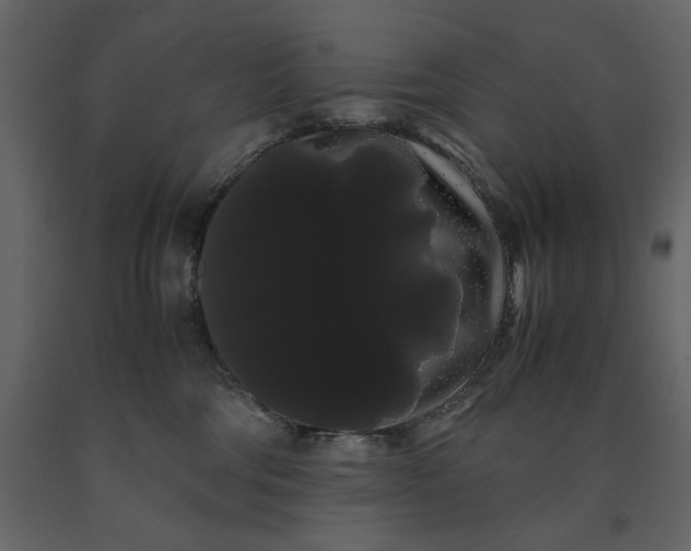 X0000091240330200708231723