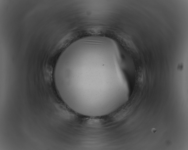 X0000091240332200708231723