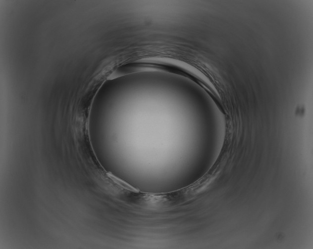 X0000091240333200708231723