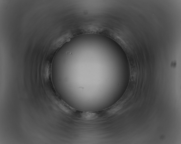 X0000091240334200708231723