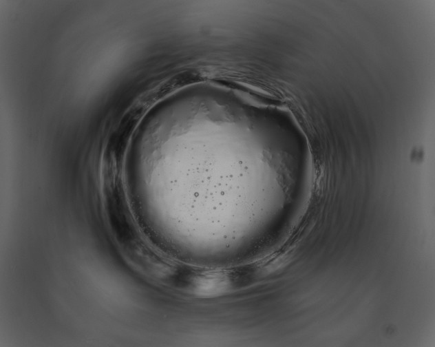 X0000091240335200708231723