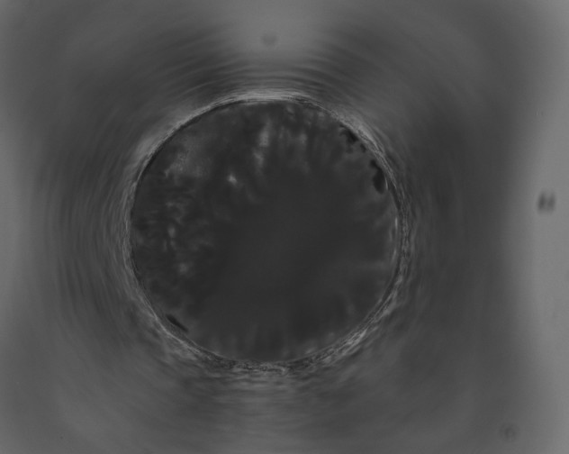 X0000091240337200708231722