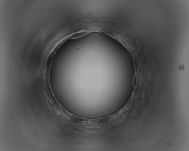 X0000091240338200708231722