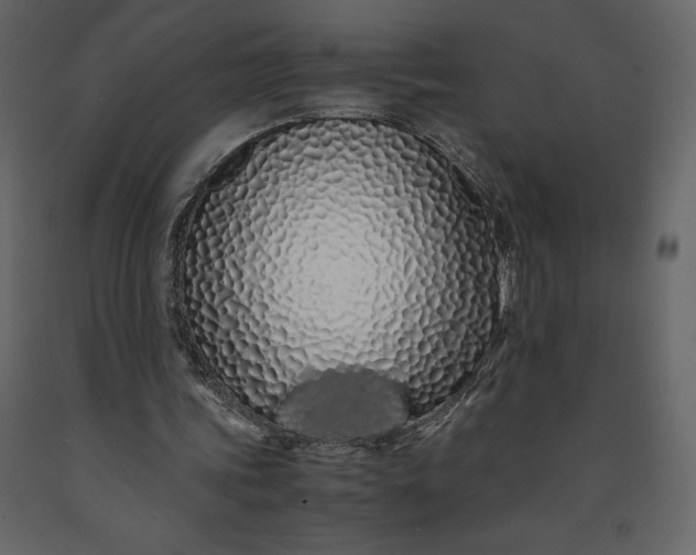 X0000091240339200708231722