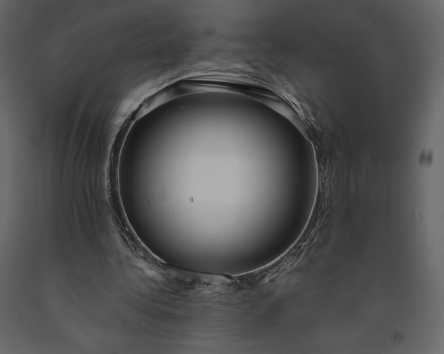 X0000091240340200708231722