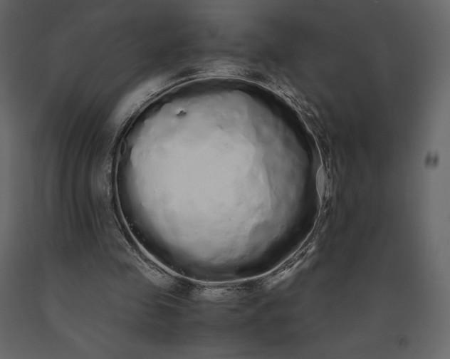 X0000091240341200708231722