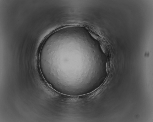 X0000091240342200708231722