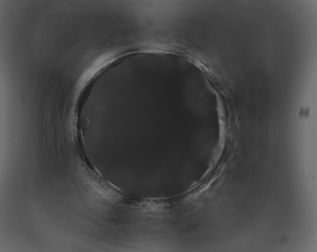 X0000091240343200708231722