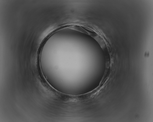 X0000091240344200708231722