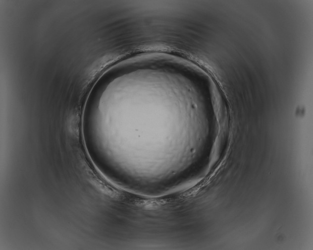 X0000091240345200708231722