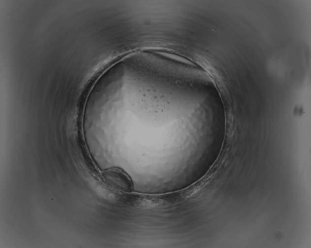 X0000091240346200708231722