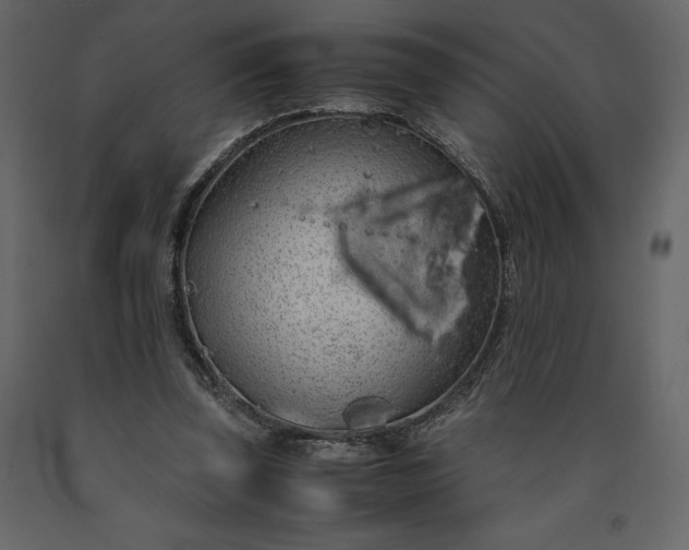 X0000091240347200708231722