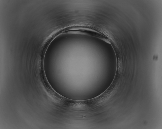 X0000091240348200708231722