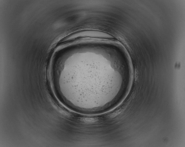 X0000091240349200708231722