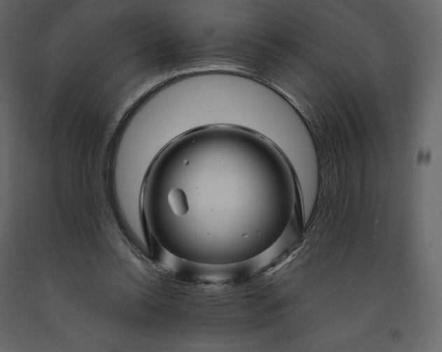 X0000091240350200708231722