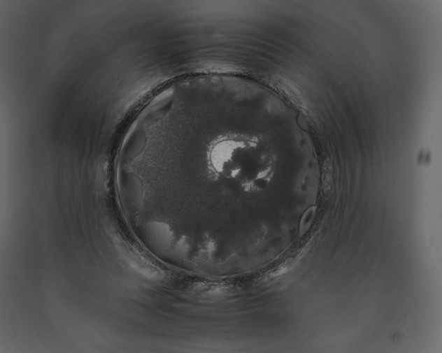 X0000091240351200708231722